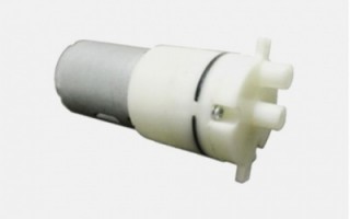 柏尔科技有限 河源市柏尔科技申请泵阀一体式气泵专利，实现高效气体传输