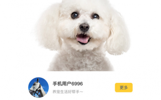 手机空间宠物的软件有哪些 人竟然能和狗语言交流？这个 APP 做到了跨物种沟通？
